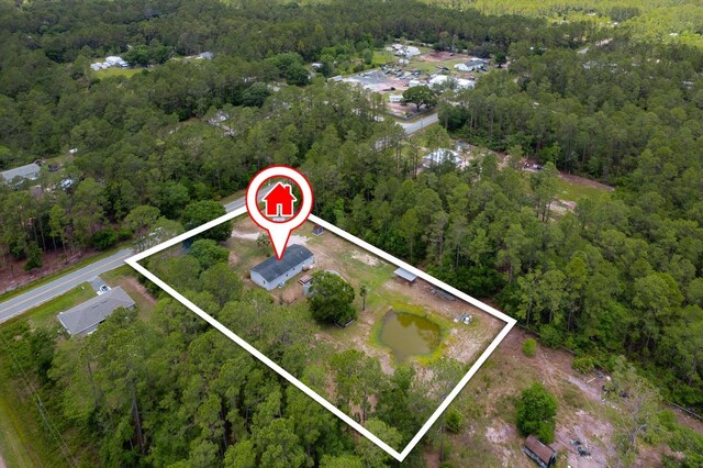 10160 Ebert Ave, Hastings, FL 32145 - aerial view of property and surrounding area with a forest and property parcel outlined