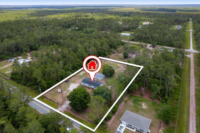 10160 Ebert Ave, Hastings, FL 32145 - aerial view of property and surrounding area with a forest and property parcel outlined