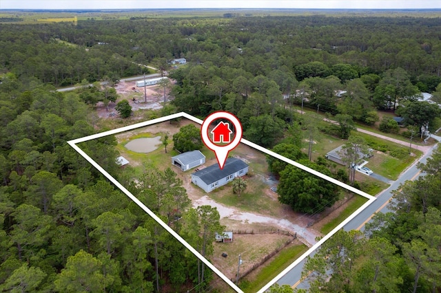 10160 Ebert Ave, Hastings, FL 32145 - view of property location with a forest and property boundaries highlighted