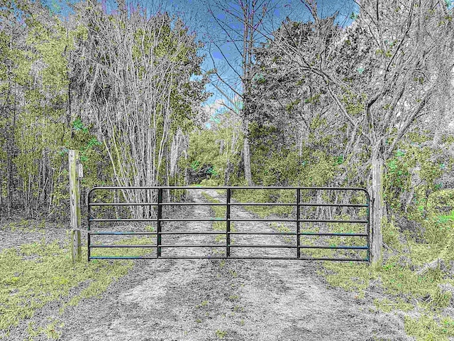 8975 Reid Packing House Rd, Hastings, FL 32145 - view of gate