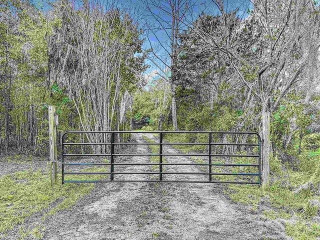 8975 Reid Packing House Rd, Hastings, FL 32145 - view of gate