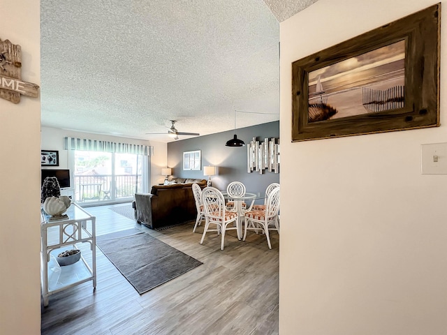 dining space with hardwood / wood-style floors, ceiling fan, and a textured ceiling