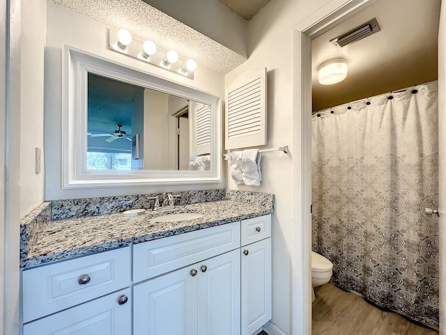 bathroom featuring vanity, toilet, wood-type flooring, and a textured ceiling