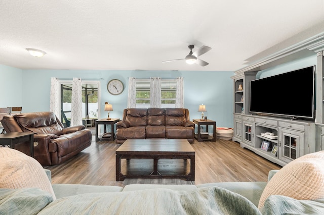 living room with ceiling fan and hardwood / wood-style floors