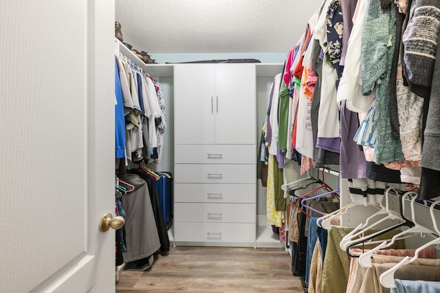 spacious closet with light wood-type flooring