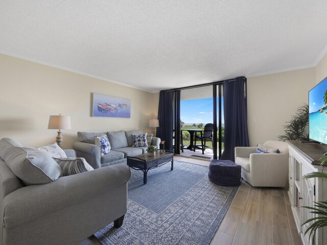 6240 A1A S Unit 103, Saint Augustine, FL 32080 - living room featuring a textured ceiling, wood finished floors, ornamental molding, and a wall of windows