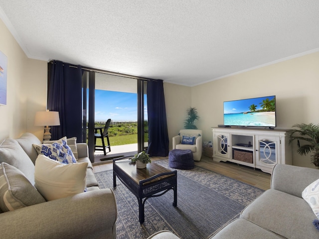 6240 A1A S Unit 103, Saint Augustine, FL 32080 - living area featuring a textured ceiling, wood finished floors, and ornamental molding