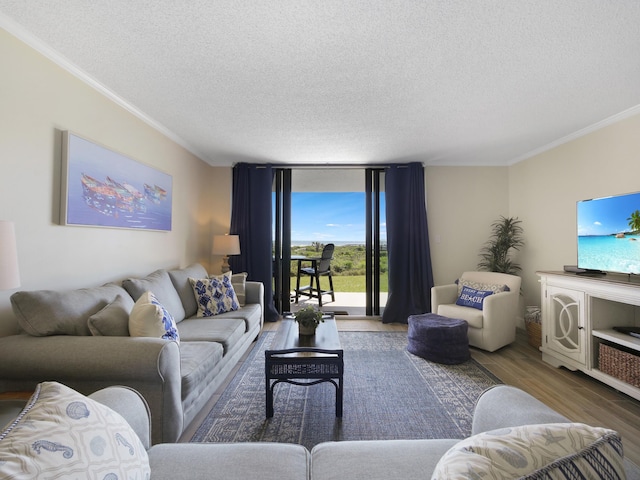6240 A1A S Unit 103, Saint Augustine, FL 32080 - living room featuring expansive windows, a textured ceiling, ornamental molding, and wood finished floors