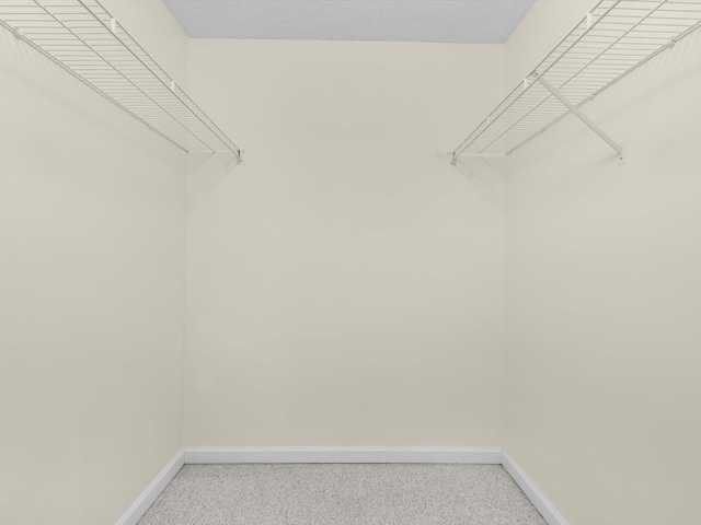 walk in closet with carpet floors