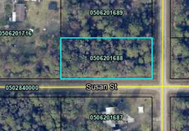10715 Nikolich Ave, Hastings, FL 32145
