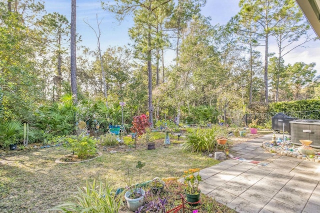 view of yard featuring a patio