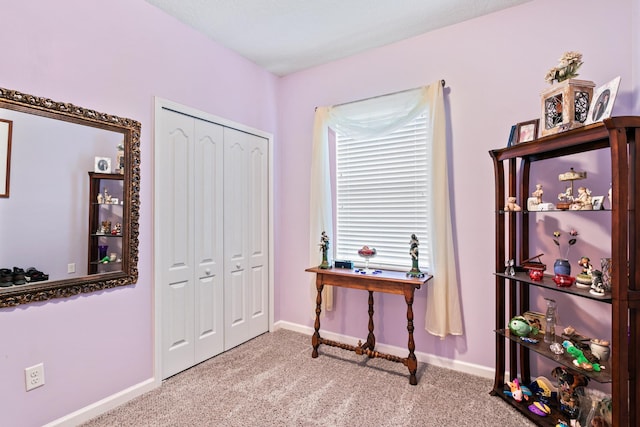 miscellaneous room with carpet flooring