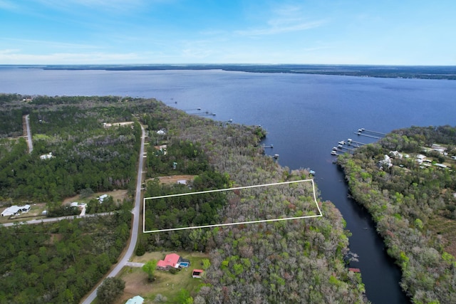 156 Pioneer Trl, Green Cove Springs FL, 32043 land for sale