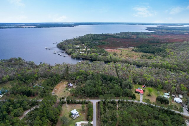156 Pioneer Trl, Green Cove Springs, FL 32043 - photo 17