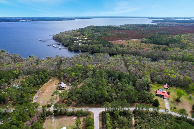 156 Pioneer Trl, Green Cove Springs, FL 32043 - photo 9