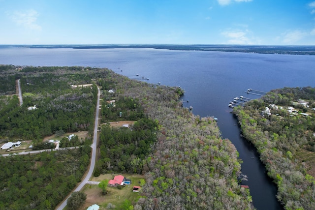 156 Pioneer Trl, Green Cove Springs, FL 32043 - photo 11