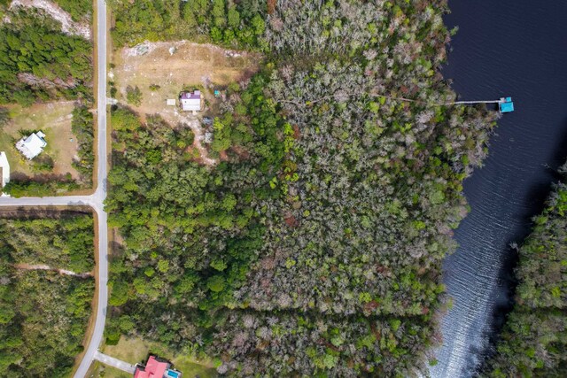 156 Pioneer Trl, Green Cove Springs, FL 32043 - photo 14