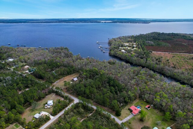 156 Pioneer Trl, Green Cove Springs, FL 32043 - photo 10