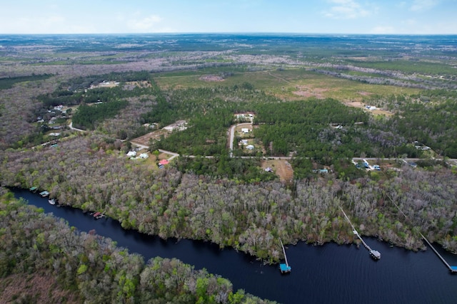 156 Pioneer Trl, Green Cove Springs, FL 32043 - photo 16