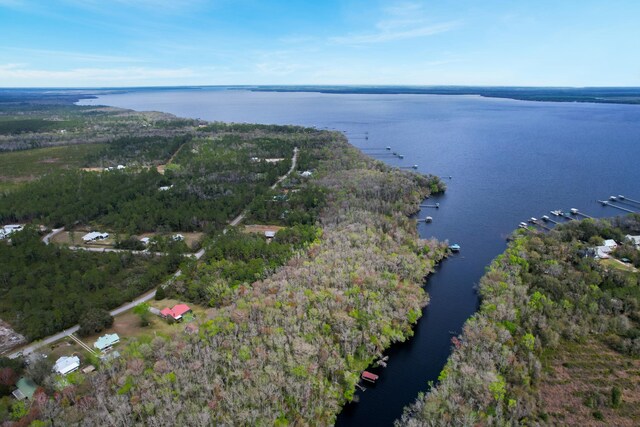 156 Pioneer Trl, Green Cove Springs, FL 32043 - photo 12