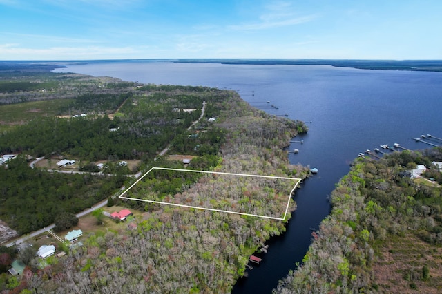 156 Pioneer Trl, Green Cove Springs, FL 32043 - photo 4