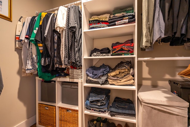 view of spacious closet