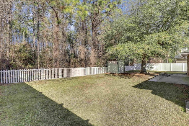 view of yard featuring a fenced backyard and a patio area