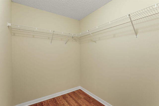 walk in closet with dark wood-type flooring