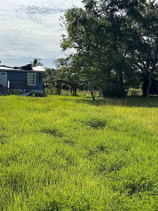 9610 Ebert Ave, Hastings, FL 32145 - view of yard