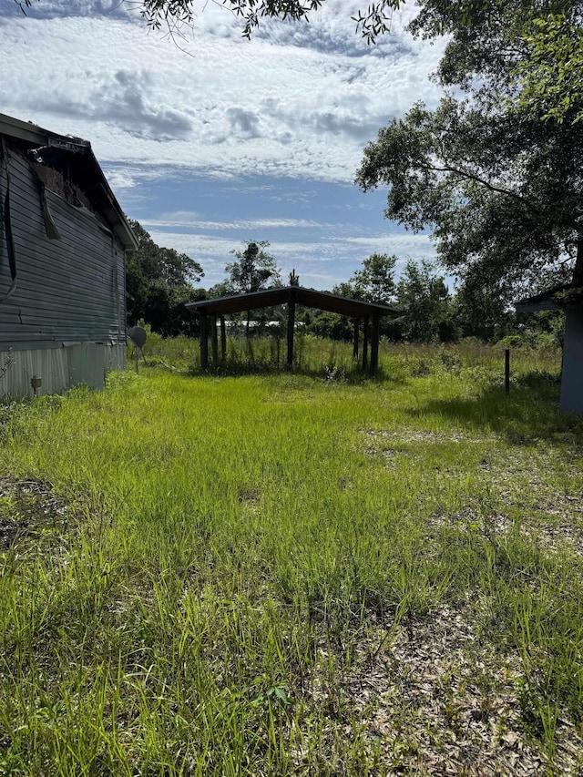 9610 Ebert Ave, Hastings, FL 32145 - view of yard
