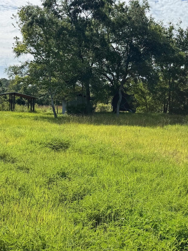 9610 Ebert Ave, Hastings, FL 32145 - view of yard
