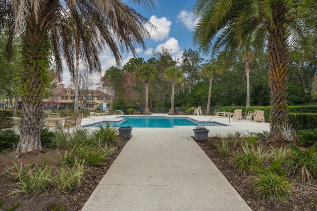 view of swimming pool with a patio area