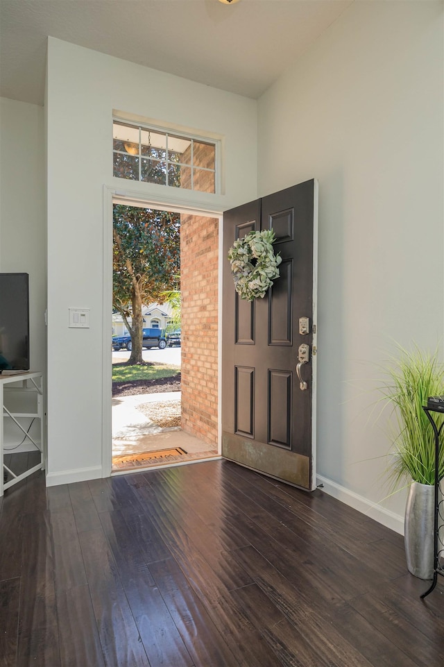 entrance foyer featuring dark hardwood / wood-style flooring