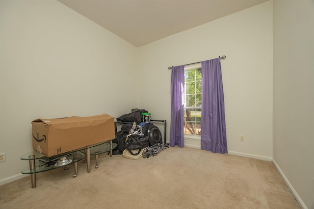 misc room featuring light colored carpet