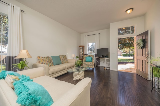 living room featuring plenty of natural light and wood-type flooring