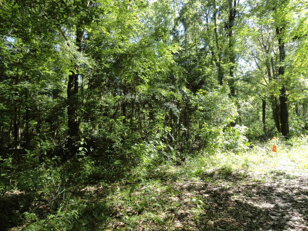 1115 Oak Ridge Rd, Saint Augustine, FL 32086