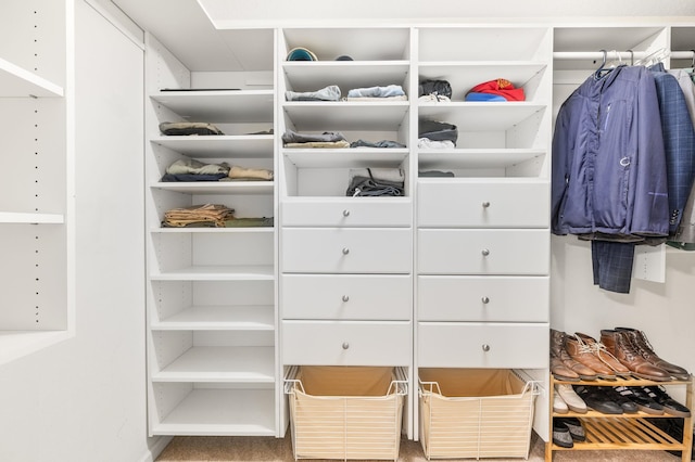 view of spacious closet