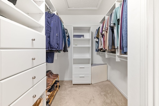 walk in closet with attic access and light colored carpet