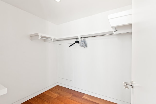 spacious closet featuring wood-type flooring