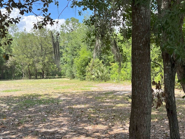 221 Old Peniel Rd, Palatka, FL 32177 - view of landscape