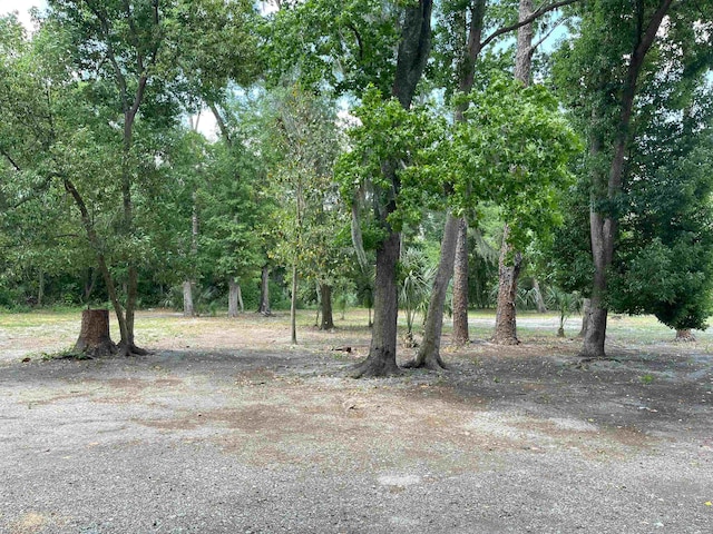 221 Old Peniel Rd, Palatka, FL 32177 - view of nature