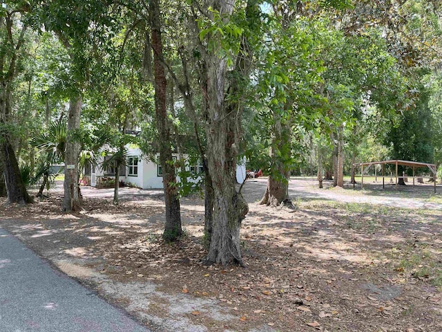 221 Old Peniel Rd, Palatka, FL 32177 - view of yard