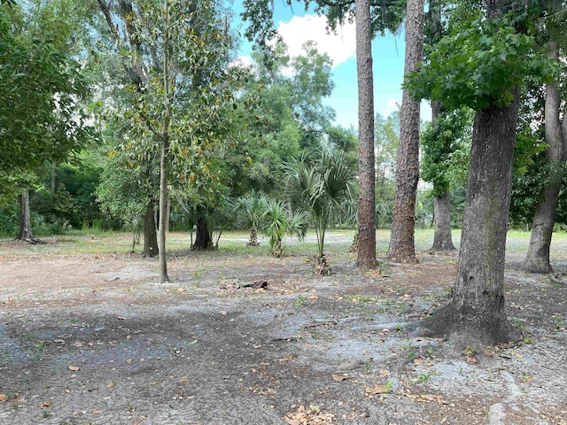 221 Old Peniel Rd, Palatka, FL 32177 - view of landscape