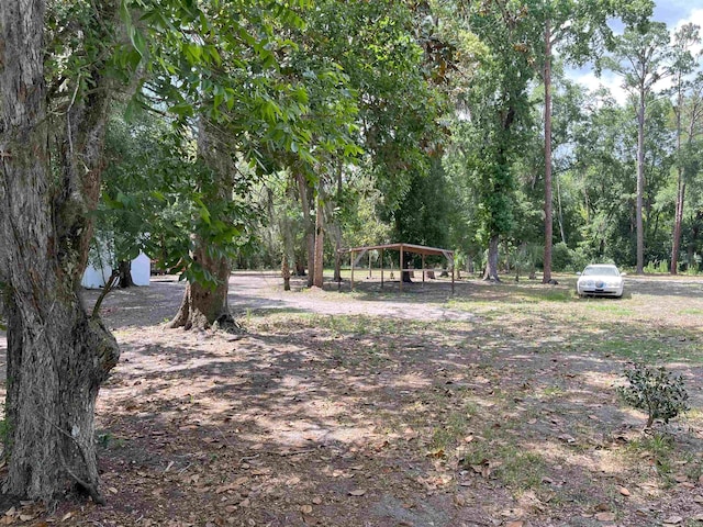 221 Old Peniel Rd, Palatka, FL 32177 - view of yard