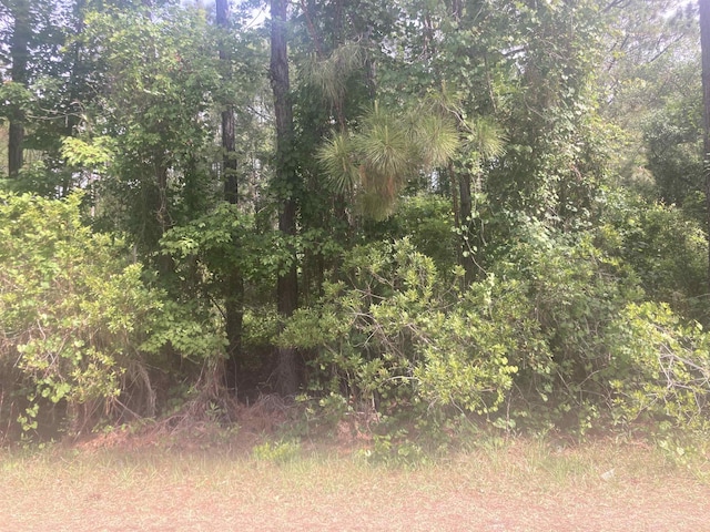 230 Palm Way, Georgetown FL, 32112 land for sale