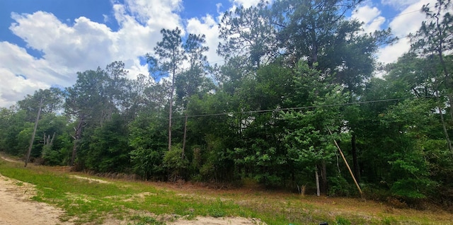 Listing photo 2 for 415 Pheasant Rd, Satsuma FL 32189