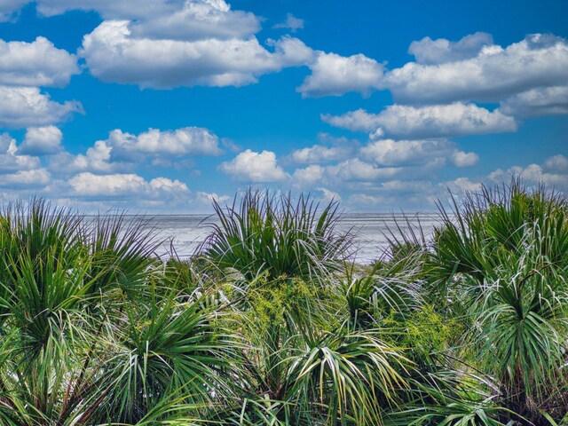 301 Premier Vista Way, Saint Augustine, FL 32080 - view of water feature