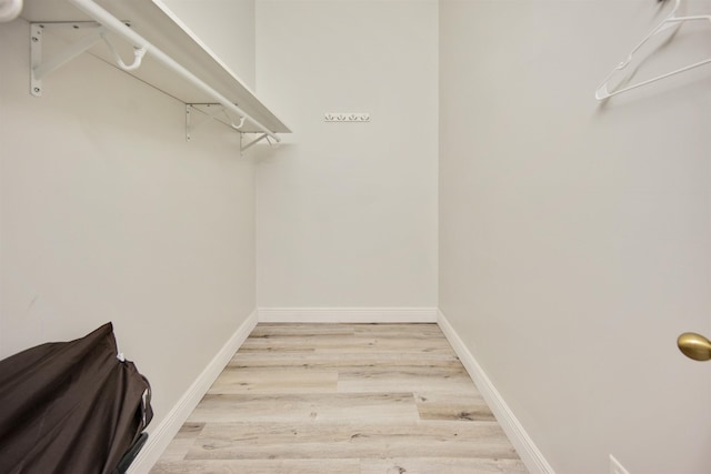 spacious closet featuring light wood-type flooring