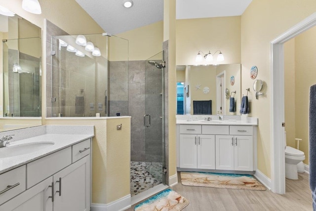 bathroom featuring vanity, hardwood / wood-style flooring, a shower with shower door, and toilet