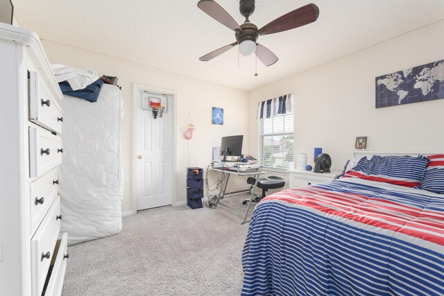 378 Scrub Jay Dr, Saint Augustine, FL 32092 - photo 20